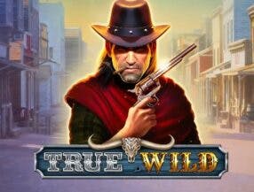 casino free bonus 100